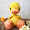 Abby Duck