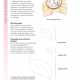 The Square Knot Crafts