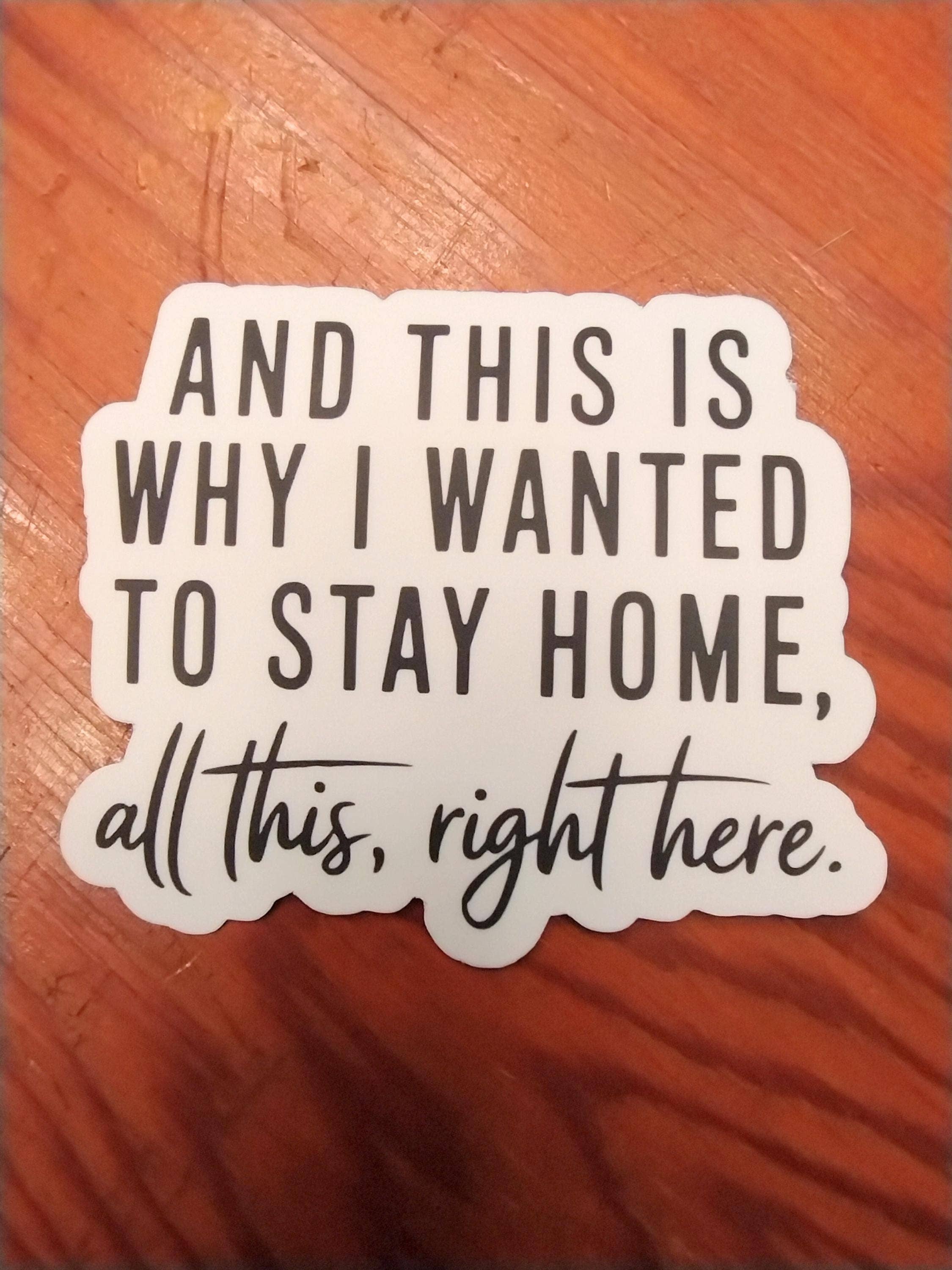 And This Is Why I Wanted To Stay Home Funny Sticker